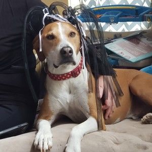 Meet your Posher, Melanie